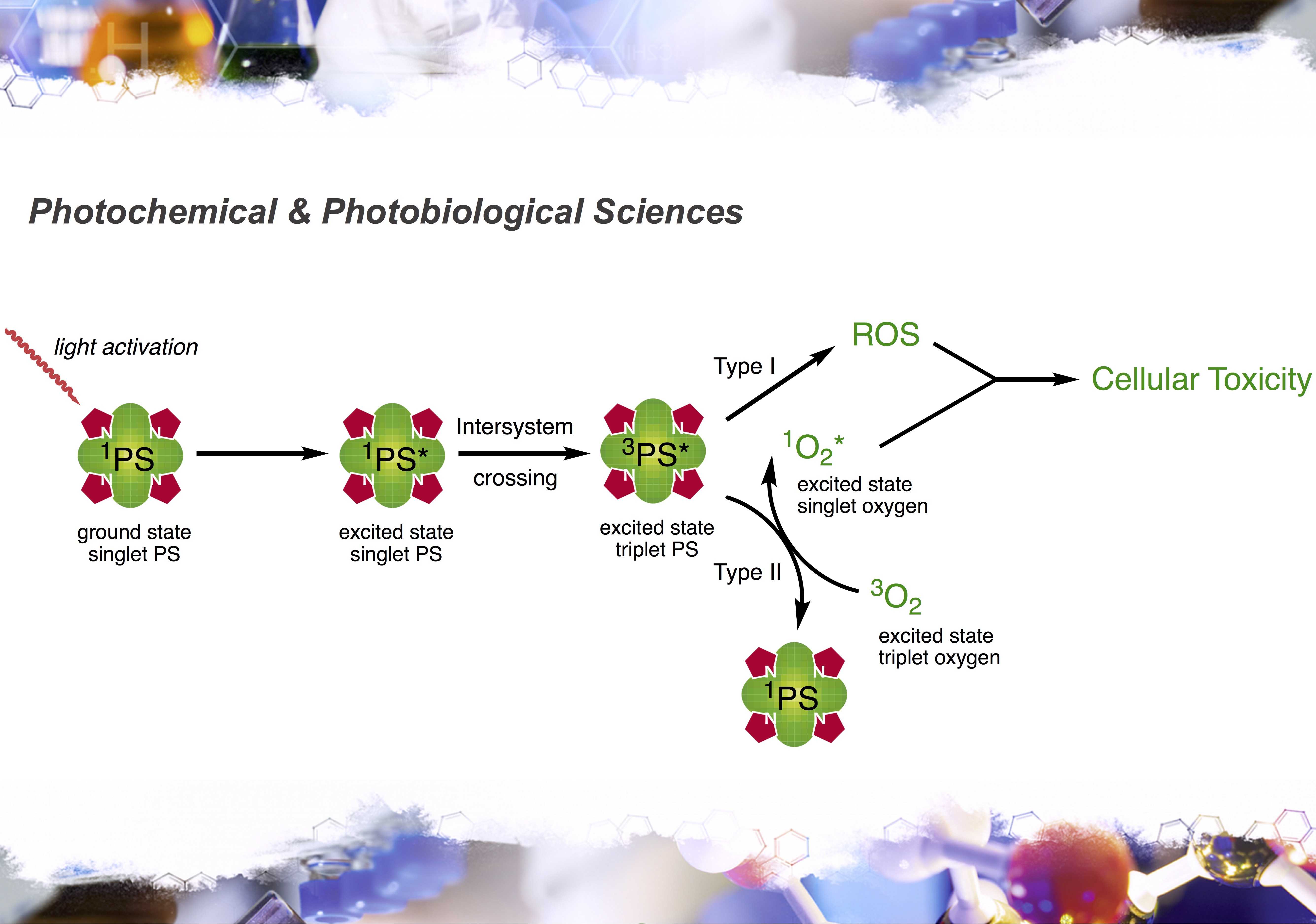 Check out our new perspective in Photochem. Photobiol. Sci.